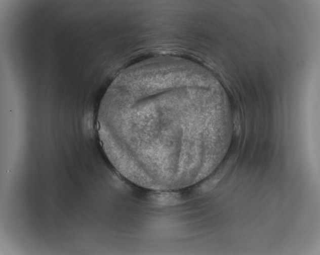 X0000111940670200908171258