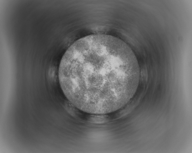 X0000111940671200908171258