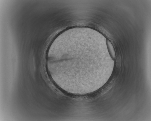 X0000111940673200908171257