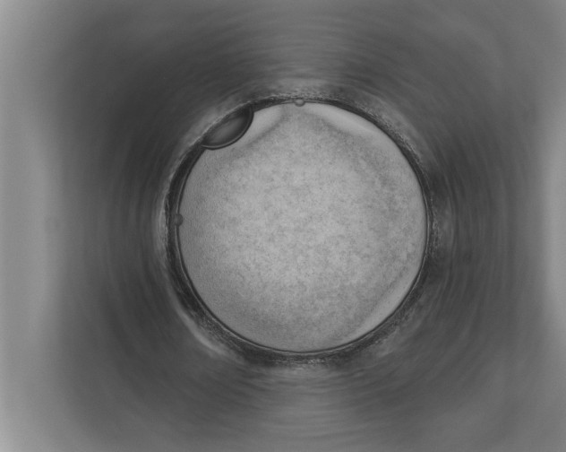 X0000111940674200908171257