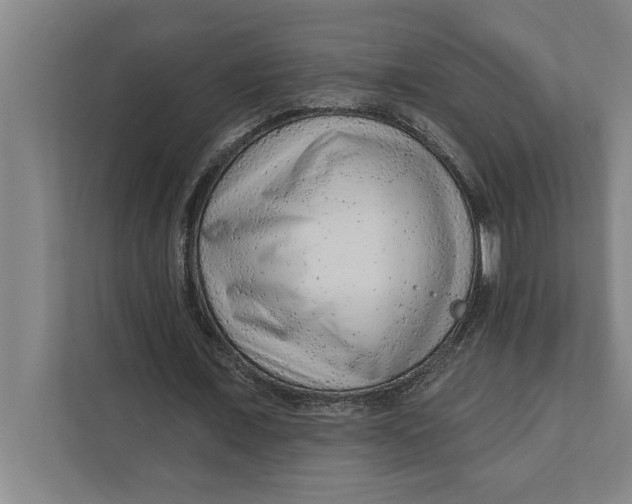 X0000111940675200908171257