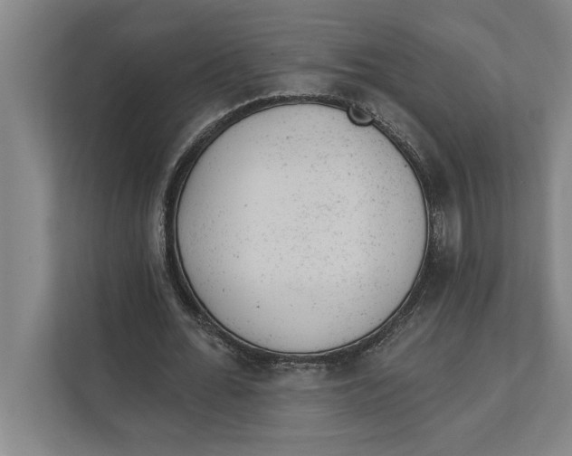 X0000111940676200908171257