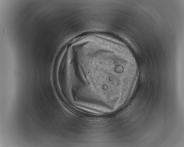 X0000111940677200908171257