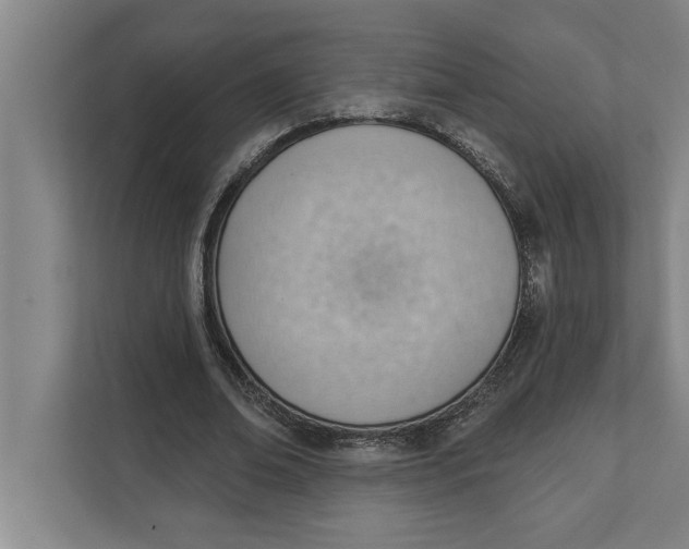 X0000111940678200908171257