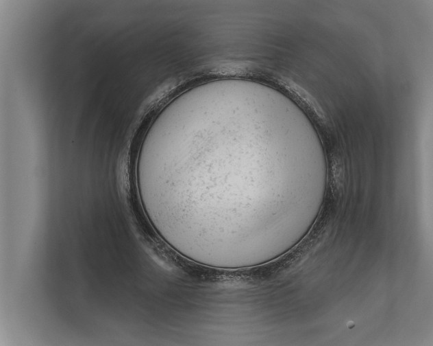 X0000111940682200908171257