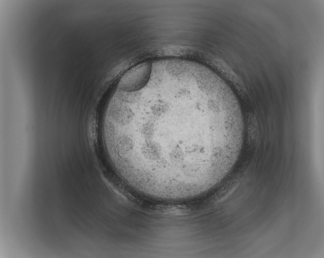 X0000111940683200908171257