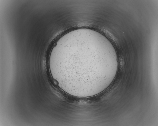 X0000111940684200908171257