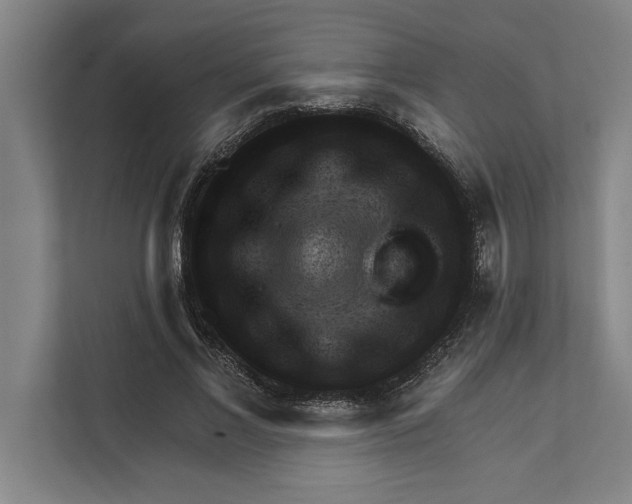 X0000111940685200908171257