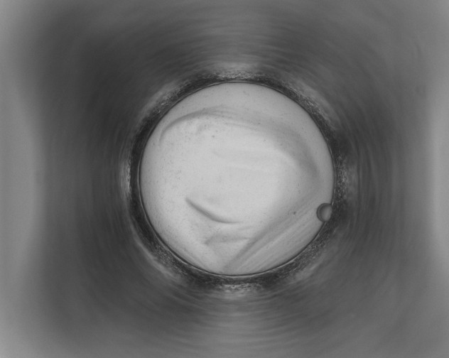 X0000111940686200908171257