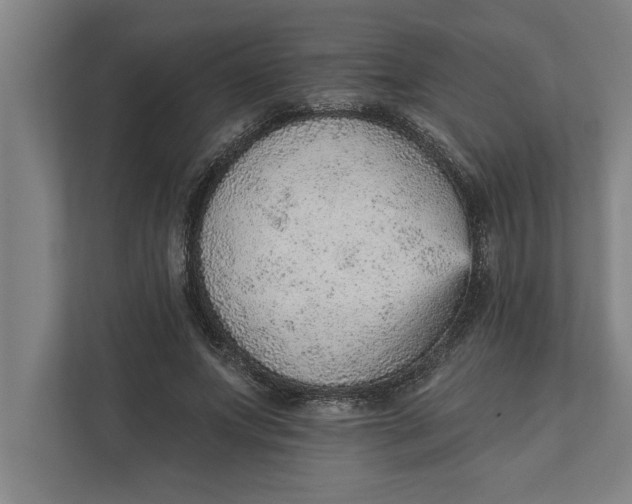 X0000111940687200908171257