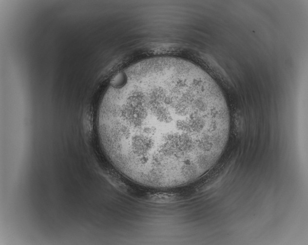 X0000111940691200908171257