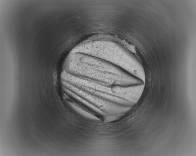 X0000111940693200908171257