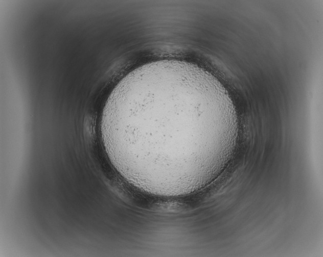 X0000111940695200908171257