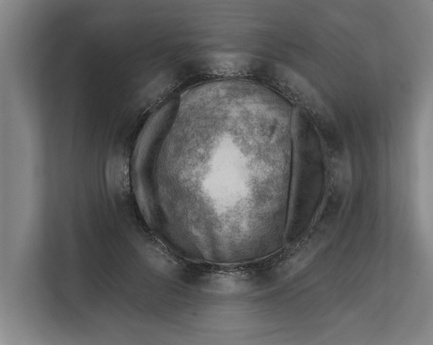 X0000111940696200908171257