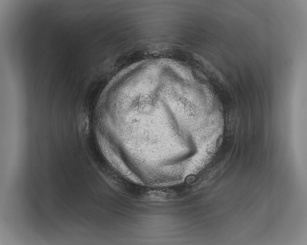 X0000111940703200908171257