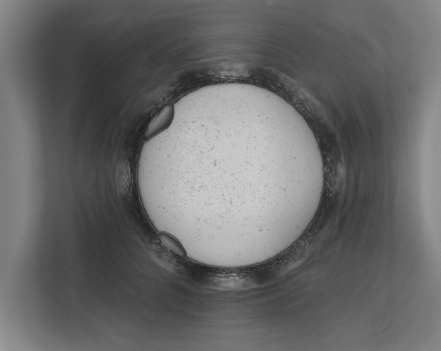 X0000111940704200908171257