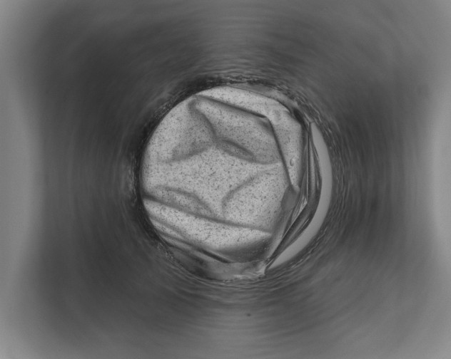 X0000111940705200908171257