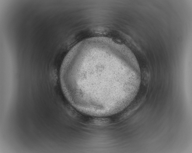 X0000111940707200908171257