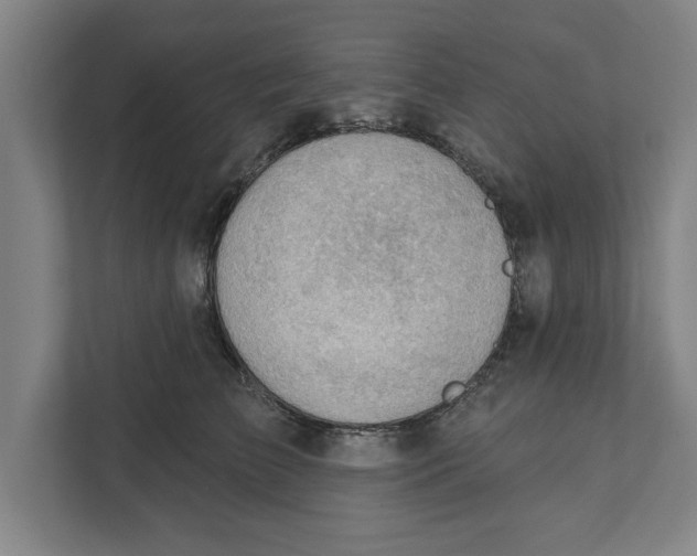 X0000111940709200908171257