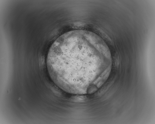 X0000111940711200908171257