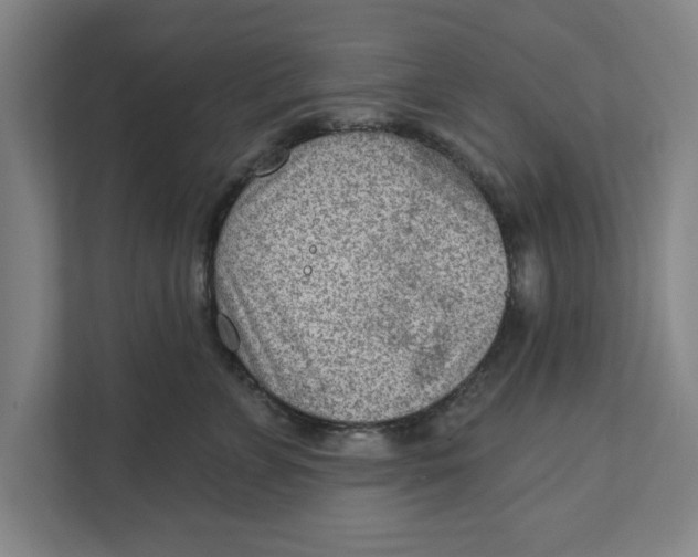 X0000111940715200908171257