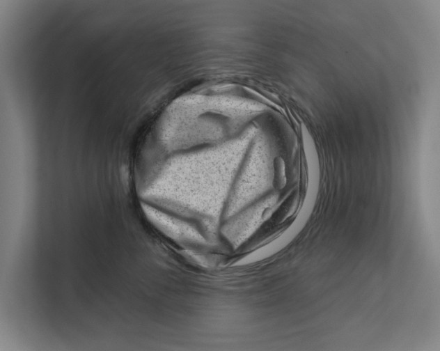 X0000111940716200908171257