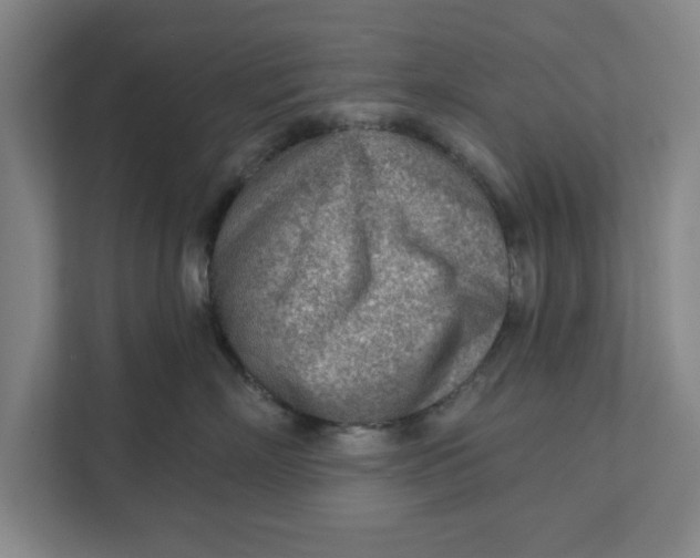 X0000111940718200908171257