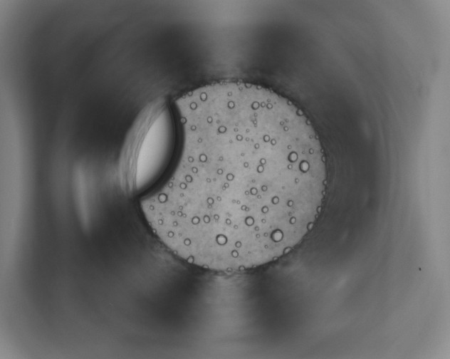 X0000111940720200908171257