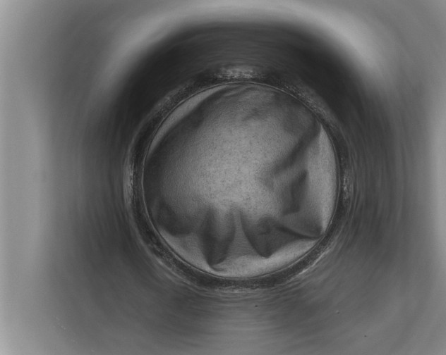 X0000111940722200908171256