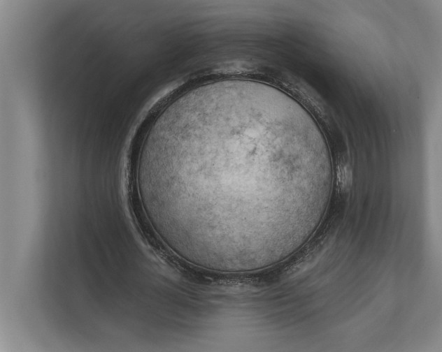 X0000111940724200908171256