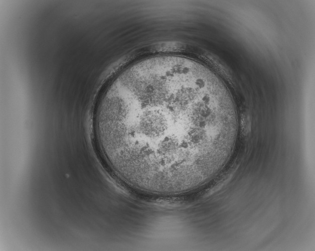 X0000111940725200908171256