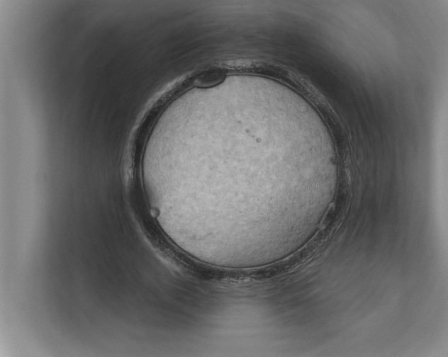 X0000111940728200908171256