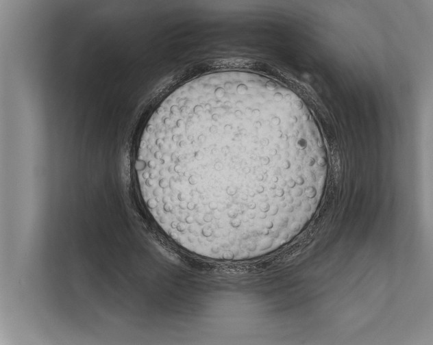 X0000111940729200908171256