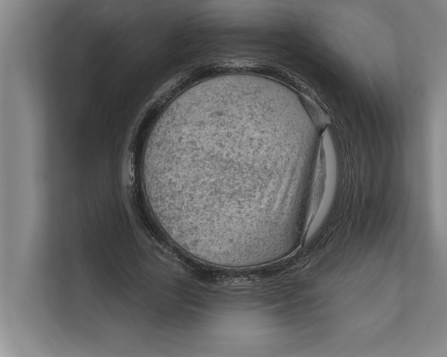 X0000111940731200908171256