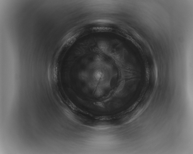 X0000111940735200908171256