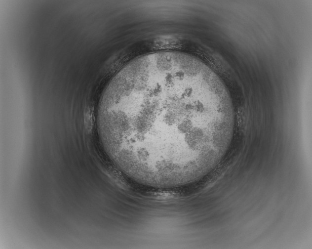 X0000111940741200908171256