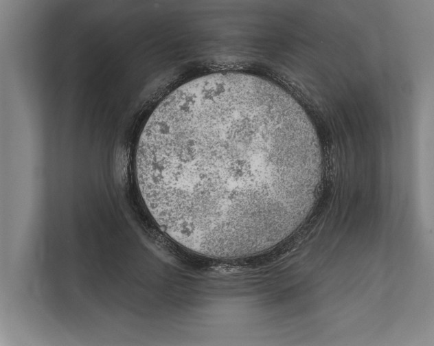 X0000111940742200908171256