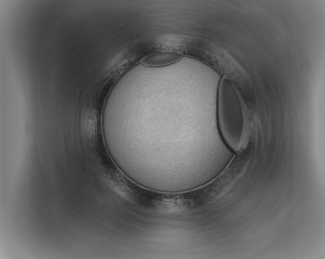 X0000111940744200908171256