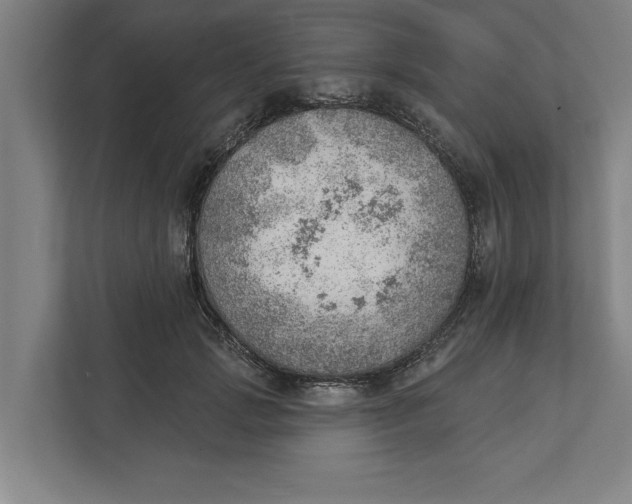 X0000111940749200908171256