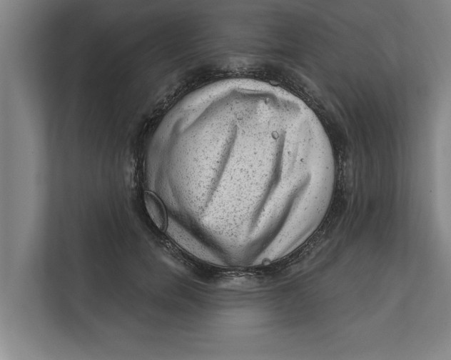 X0000111940750200908171256