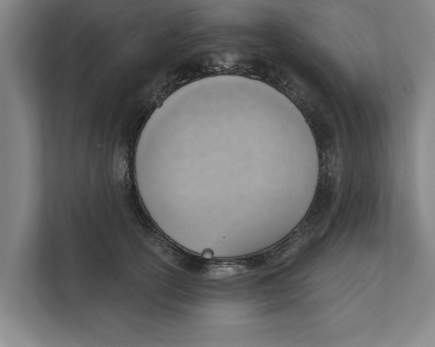 X0000111940754200908171257