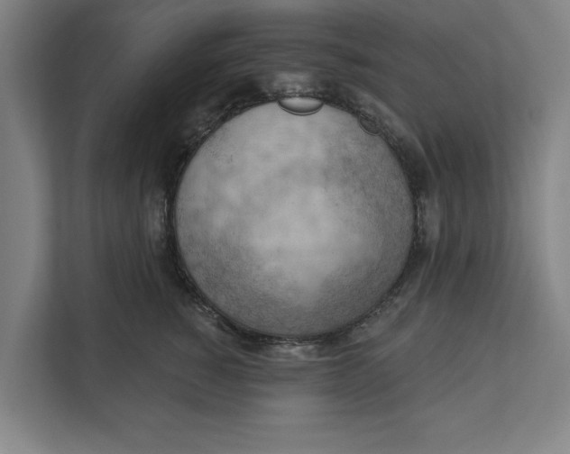 X0000111940760200908171257