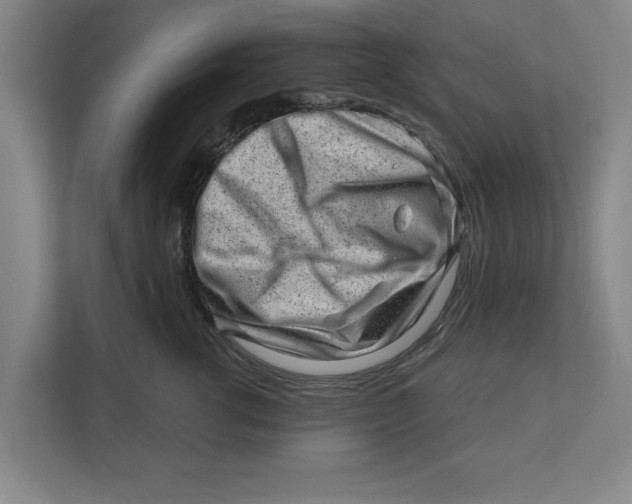 X0000111940762200908171257