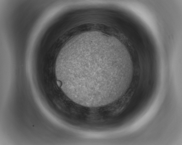 X0000111940766200908171257