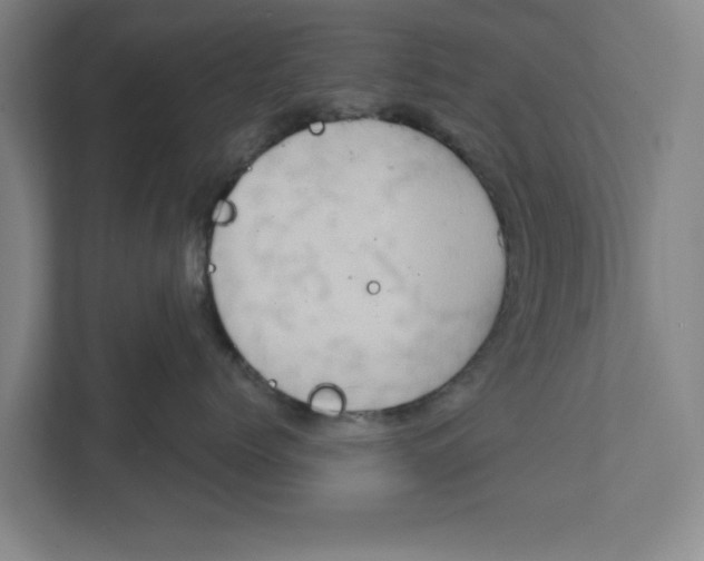 X0000111940768200908171257