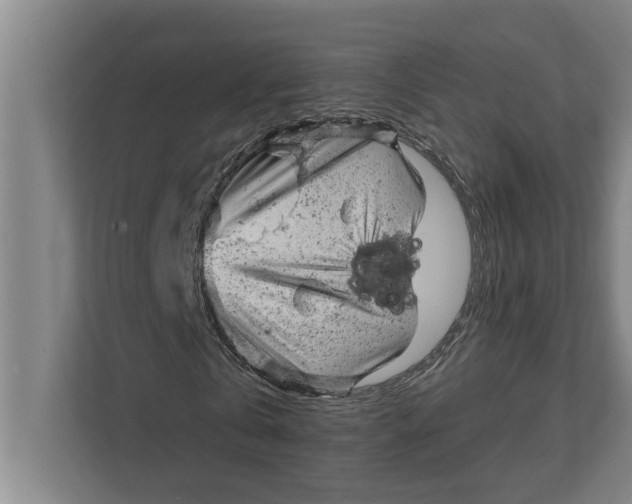 X0000111940769200908171256