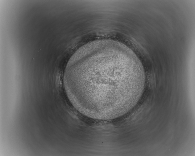 X0000111940770200908171256