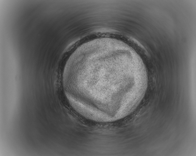 X0000111940775200908171256