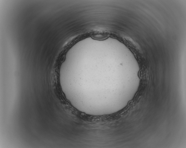 X0000111940776200908171256