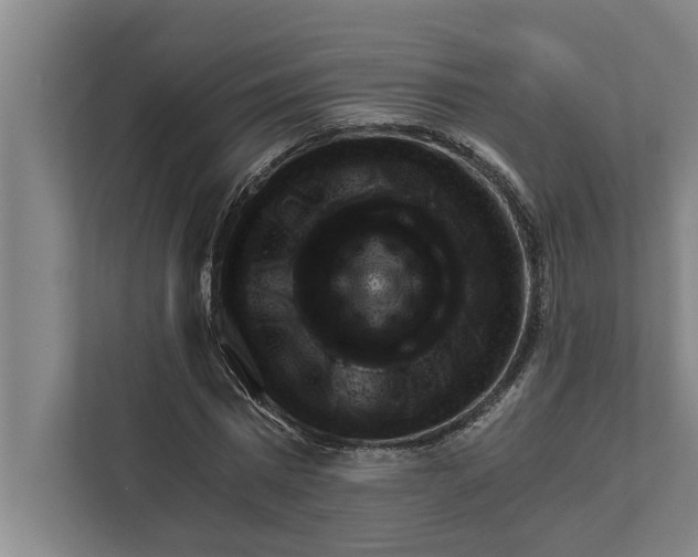 X0000111940777200908171256